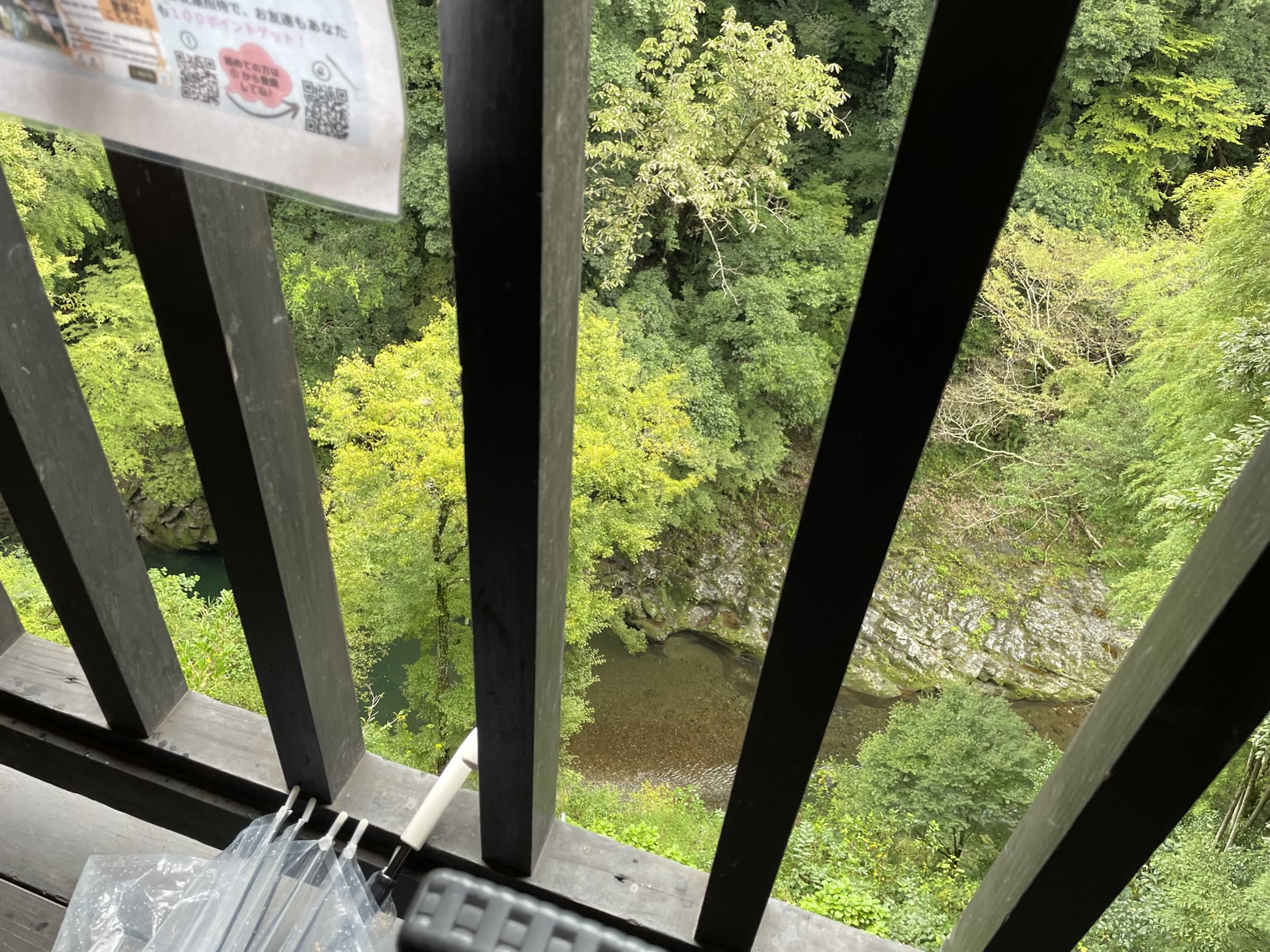 カフェのテラス席から眺めた渓谷の緑