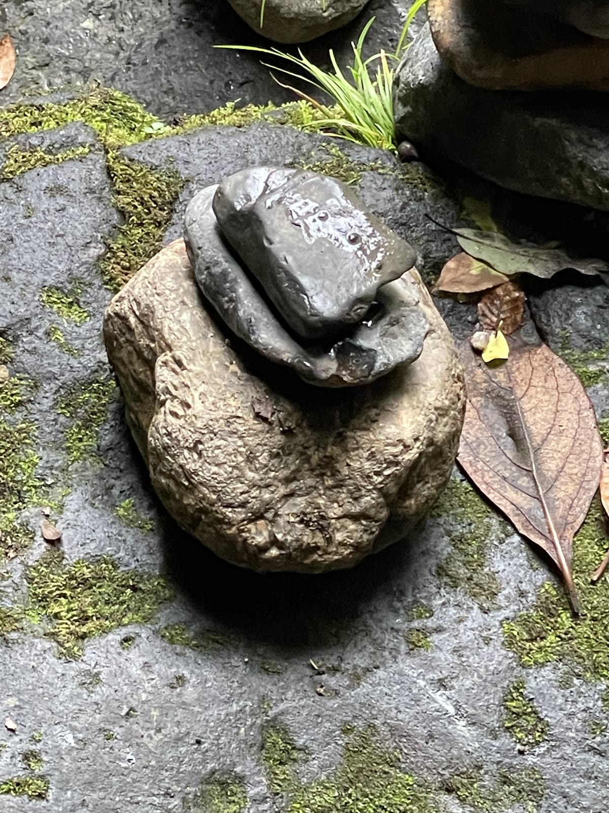 願いを込めて積まれた石