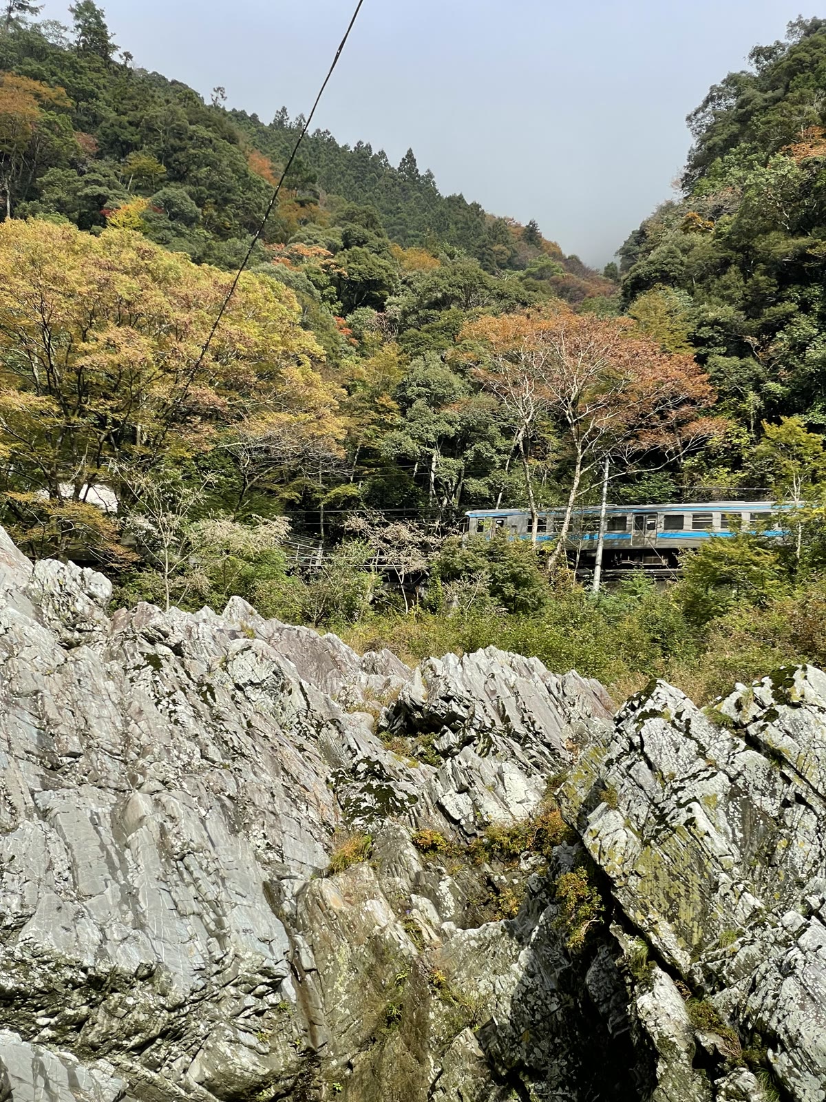 渓谷の上の線路を走る列車