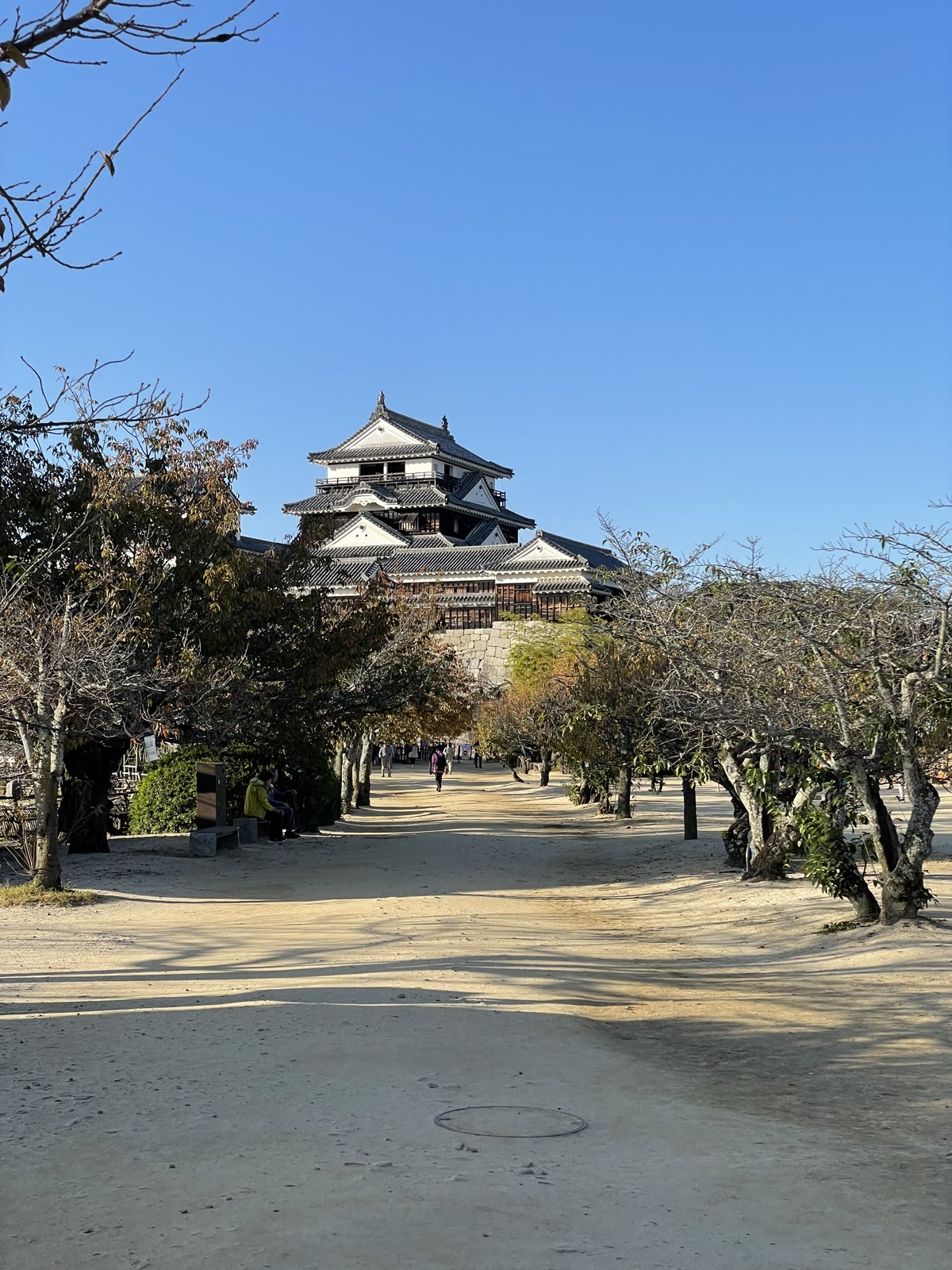 木々に囲まれた道の先に見える松山城
