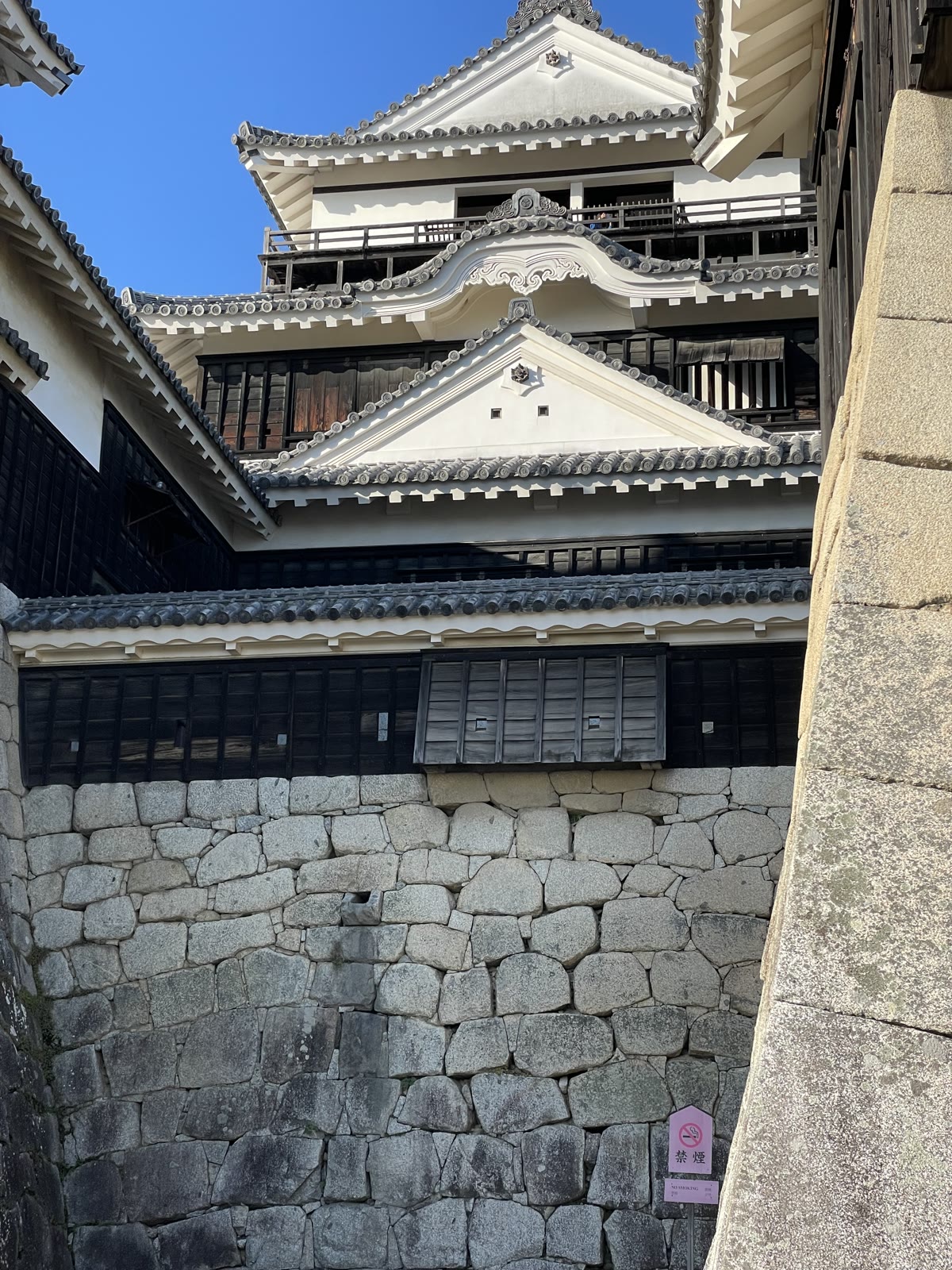 石垣の上にそびえる松山城の建物