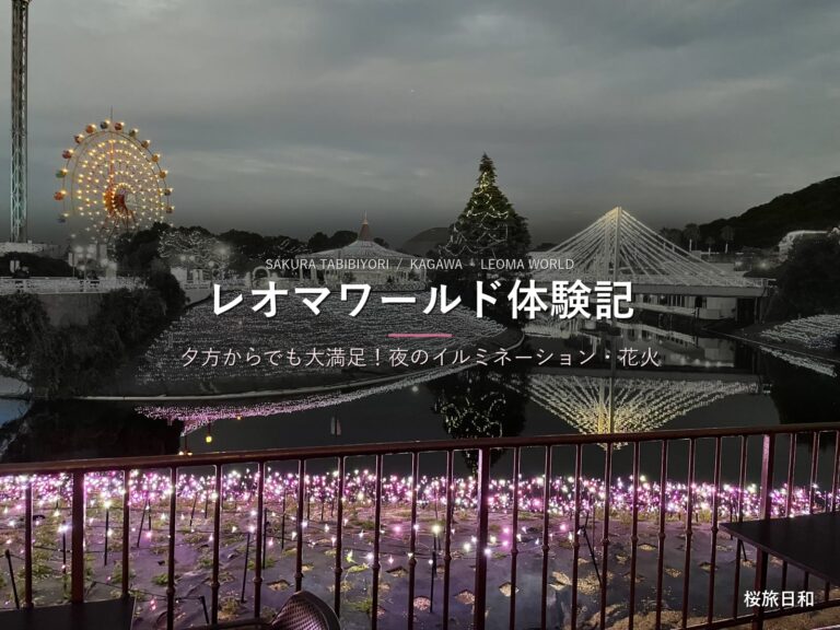 【レオマワールド体験記】夕方からでも大満足！夜のイルミネーション・プロジェクションマッピング・花火を満喫